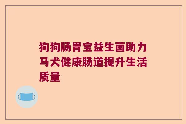 狗狗肠胃宝益生菌助力马犬健康肠道提升生活质量
