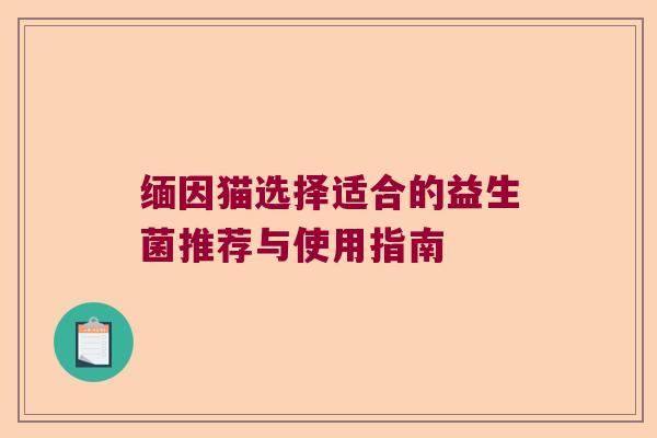 缅因猫选择适合的益生菌推荐与使用指南 缅因猫选择适合的益生菌推荐与使用指南