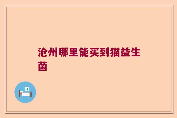 沧州哪里能买到猫益生菌