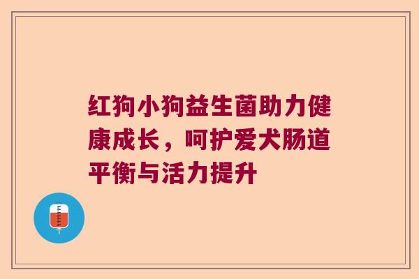 红狗小狗益生菌助力健康成长,呵护爱犬肠道平衡与活力提升 红狗小狗益生菌助力健康成长,呵护爱犬肠道平衡与活力提升