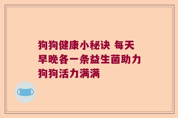 狗狗健康小秘诀 每天早晚各一条益生菌助力狗狗活力满满