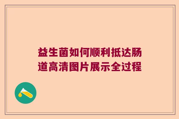 益生菌如何顺利抵达肠道高清图片展示全过程