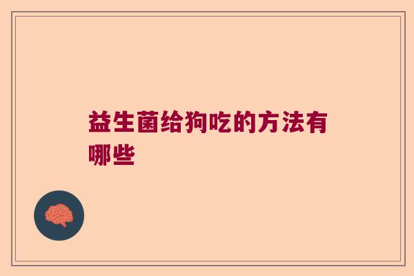 益生菌给狗吃的方法有哪些