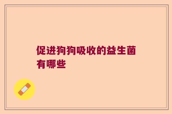 促进狗狗吸收的益生菌有哪些