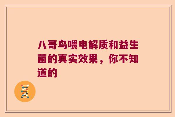 八哥鸟喂电解质和益生菌的真实效果，你不知道的