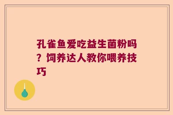 孔雀鱼爱吃益生菌粉吗？饲养达人教你喂养技巧