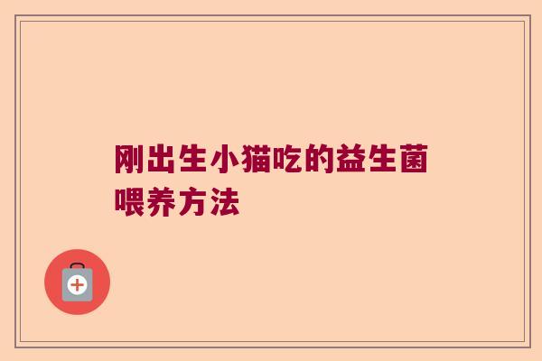 刚出生小猫吃的益生菌喂养方法