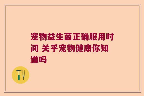 宠物益生菌正确服用时间 关乎宠物健康你知道吗