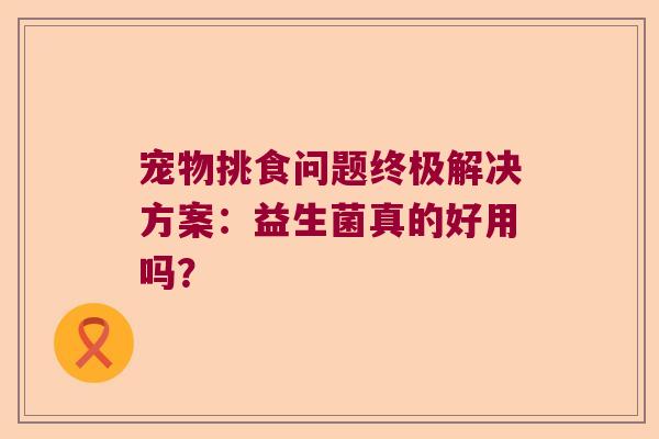 宠物挑食问题终极解决方案：益生菌真的好用吗？
