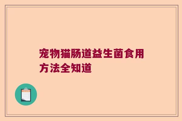 宠物猫肠道益生菌食用方法全知道