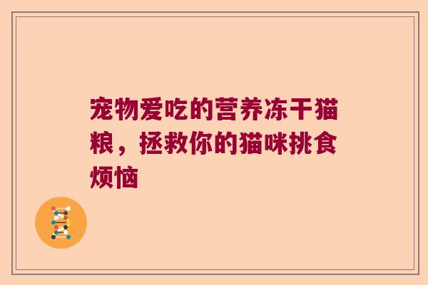 宠物爱吃的营养冻干猫粮，拯救你的猫咪挑食烦恼