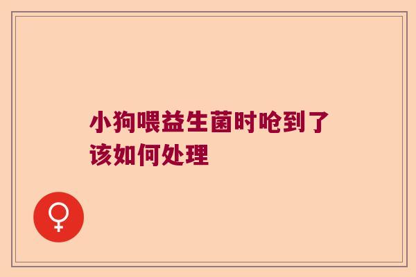 小狗喂益生菌时呛到了该如何处理