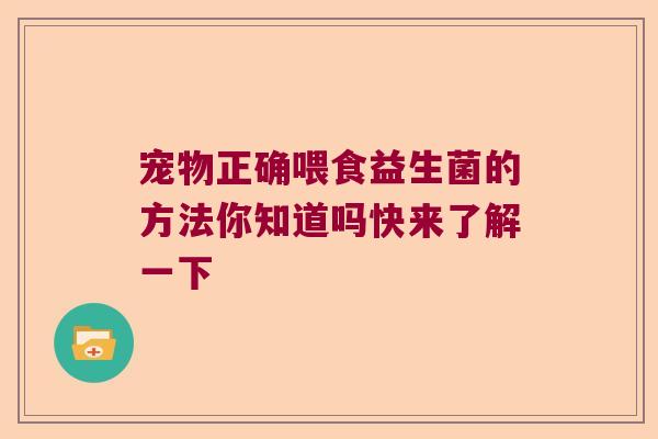 宠物正确喂食益生菌的方法你知道吗快来了解一下