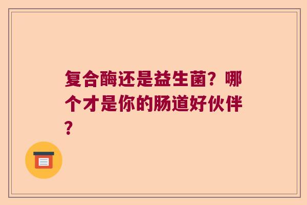 复合酶还是益生菌？哪个才是你的肠道好伙伴？