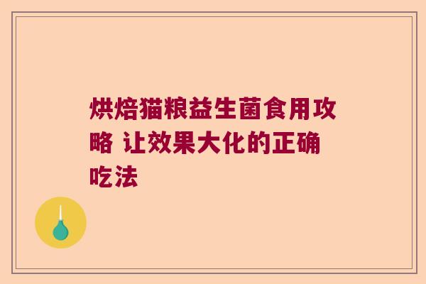 烘焙猫粮益生菌食用攻略 让效果大化的正确吃法