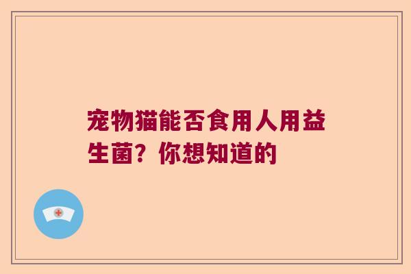 宠物猫能否食用人用益生菌？你想知道的
