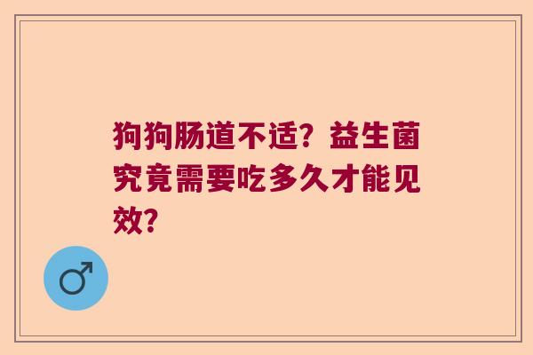 狗狗肠道不适？益生菌究竟需要吃多久才能见效？