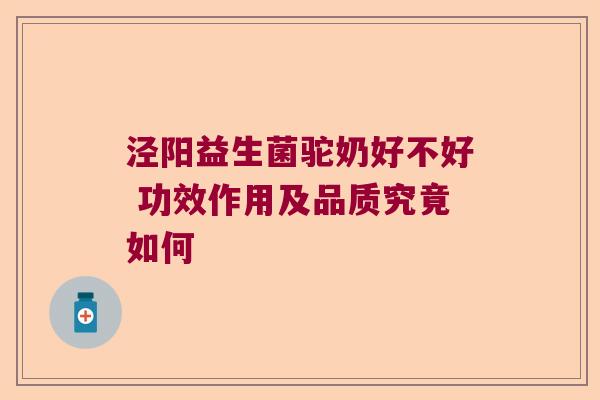 泾阳益生菌驼奶好不好 功效作用及品质究竟如何