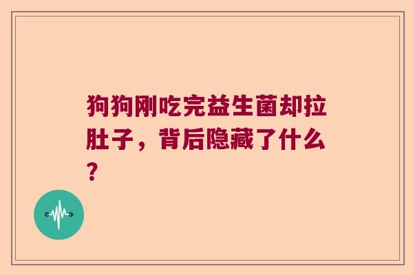 狗狗刚吃完益生菌却拉肚子，背后隐藏了什么？
