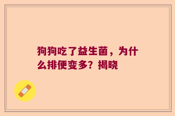 狗狗吃了益生菌，为什么排便变多？揭晓