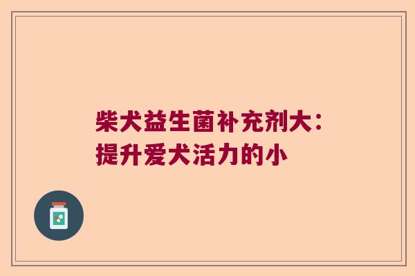 柴犬益生菌补充剂大：提升爱犬活力的小