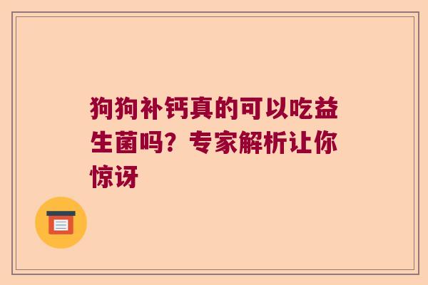 狗狗补钙真的可以吃益生菌吗？专家解析让你惊讶