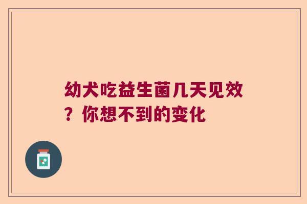 幼犬吃益生菌几天见效？你想不到的变化