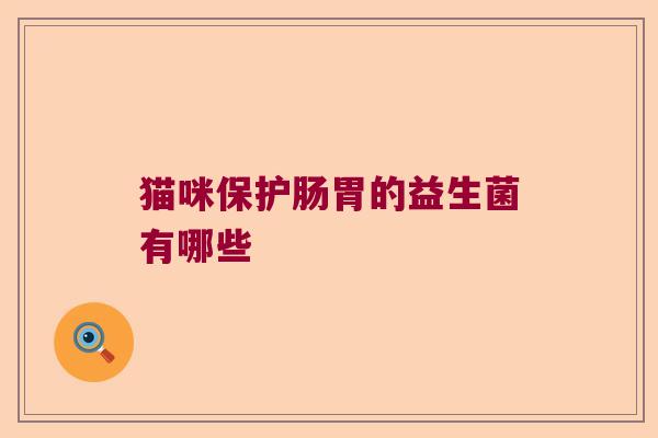 猫咪保护肠胃的益生菌有哪些