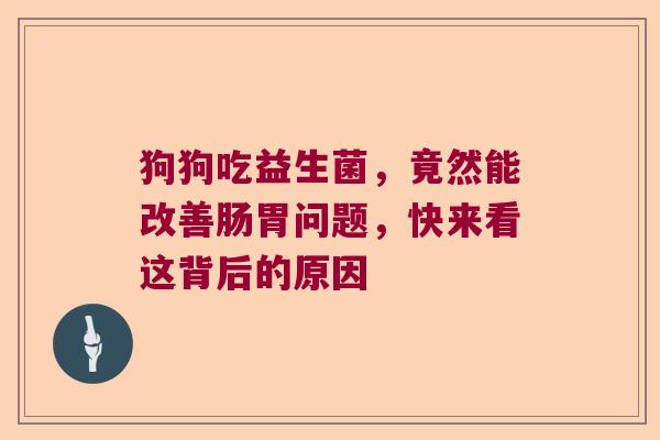 狗狗吃益生菌，竟然能改善肠胃问题，快来看这背后的原因