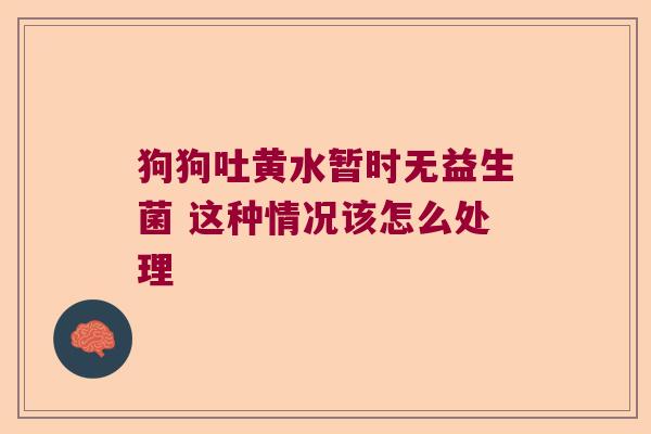 狗狗吐黄水暂时无益生菌 这种情况该怎么处理