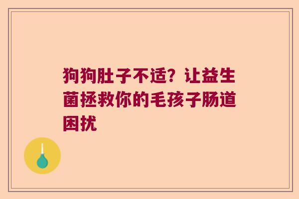 狗狗肚子不适？让益生菌拯救你的毛孩子肠道困扰