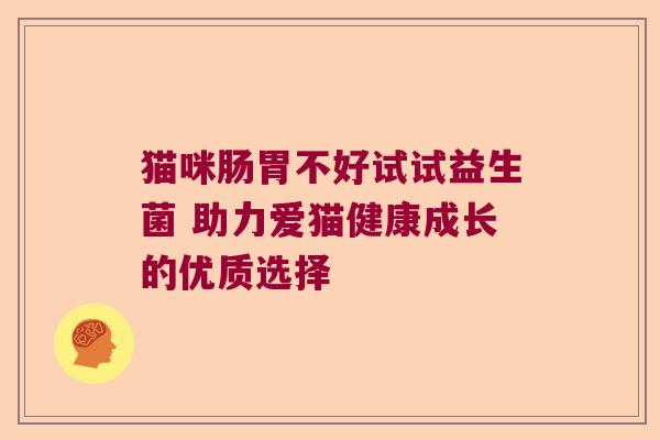 猫咪肠胃不好试试益生菌 助力爱猫健康成长的优质选择
