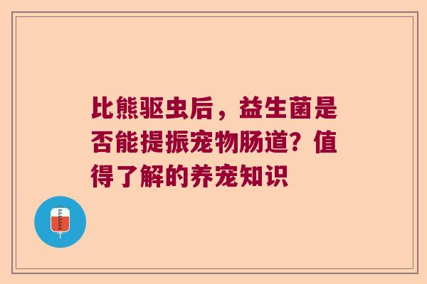 比熊驱虫后，益生菌是否能提振宠物肠道？值得了解的养宠知识