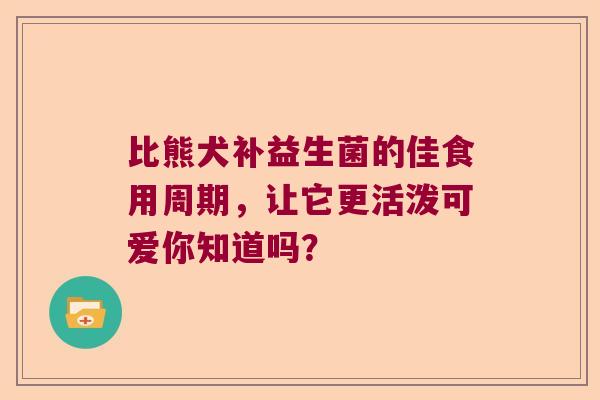 比熊犬补益生菌的佳食用周期，让它更活泼可爱你知道吗？