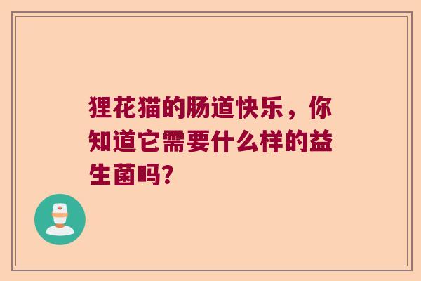 狸花猫的肠道快乐，你知道它需要什么样的益生菌吗？