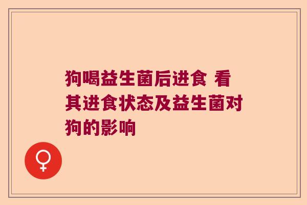 狗喝益生菌后进食 看其进食状态及益生菌对狗的影响