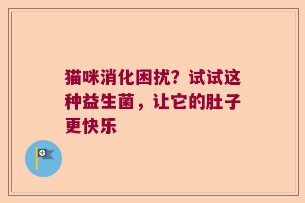 猫咪消化困扰？试试这种益生菌，让它的肚子更快乐