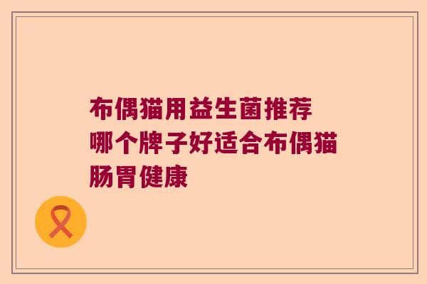 布偶猫用益生菌推荐 哪个牌子好适合布偶猫肠胃健康