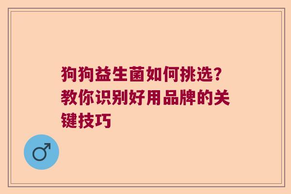 狗狗益生菌如何挑选？教你识别好用品牌的关键技巧