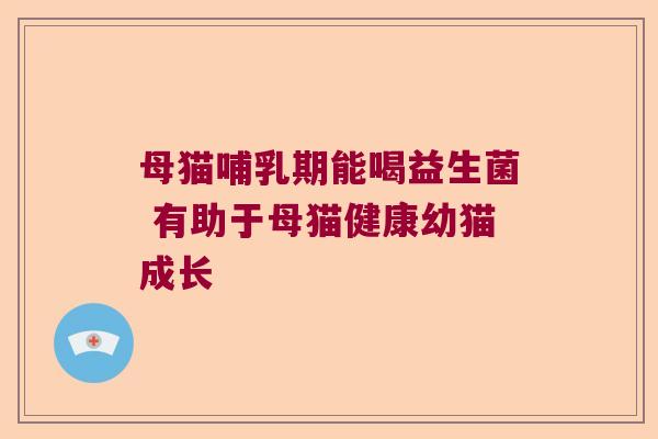 母猫哺乳期能喝益生菌 有助于母猫健康幼猫成长