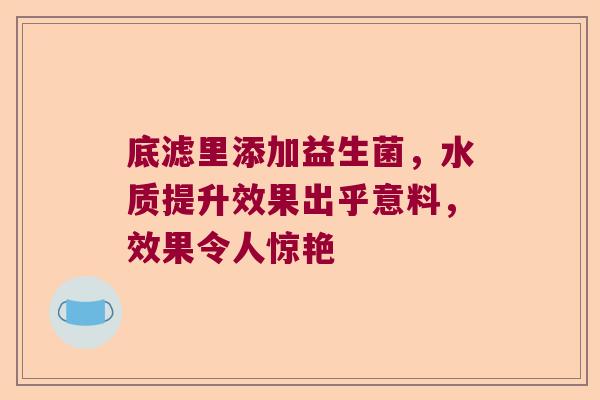 底滤里添加益生菌，水质提升效果出乎意料，效果令人惊艳