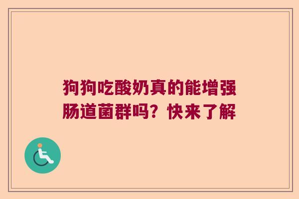 狗狗吃酸奶真的能增强肠道菌群吗？快来了解
