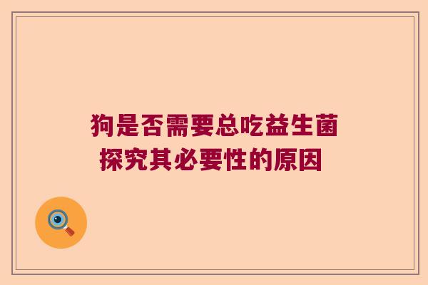 狗是否需要总吃益生菌 探究其必要性的原因