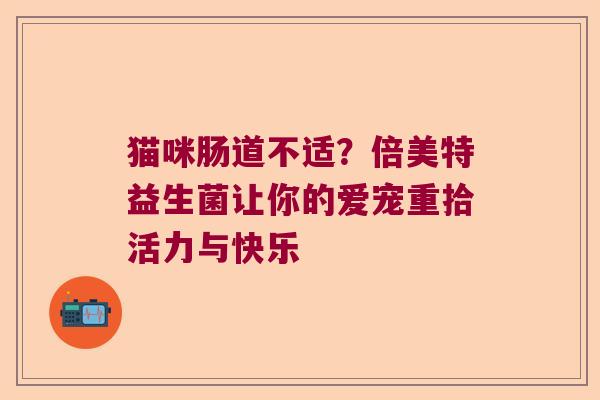 猫咪肠道不适？倍美特益生菌让你的爱宠重拾活力与快乐