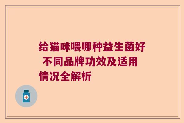 给猫咪喂哪种益生菌好 不同品牌功效及适用情况全解析
