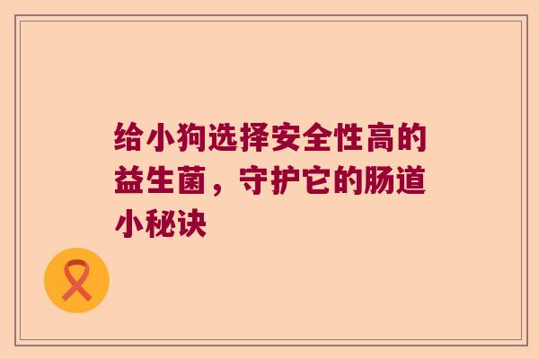 给小狗选择安全性高的益生菌，守护它的肠道小秘诀