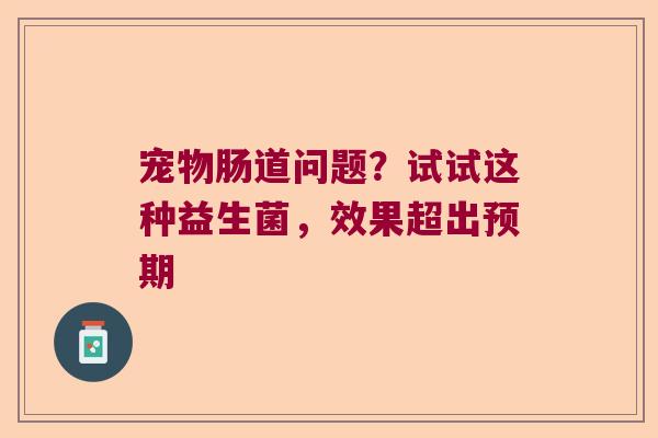 宠物肠道问题？试试这种益生菌，效果超出预期