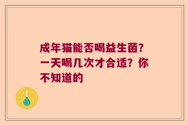 成年猫能否喝益生菌？一天喝几次才合适？你不知道的