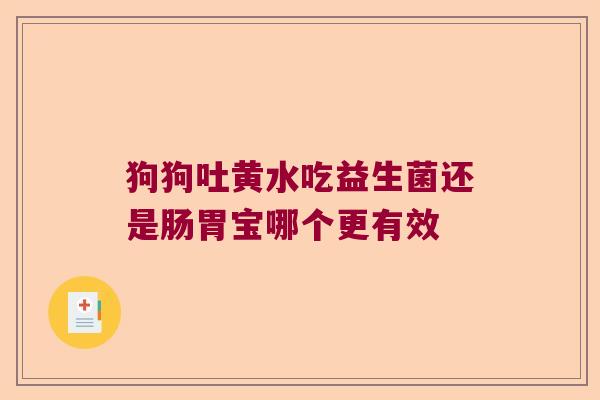 狗狗吐黄水吃益生菌还是肠胃宝哪个更有效