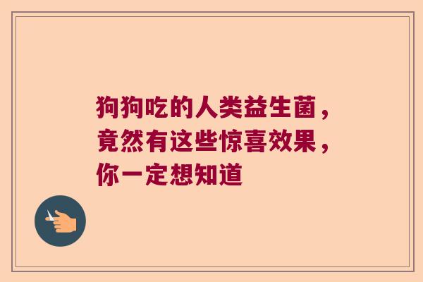 狗狗吃的人类益生菌，竟然有这些惊喜效果，你一定想知道